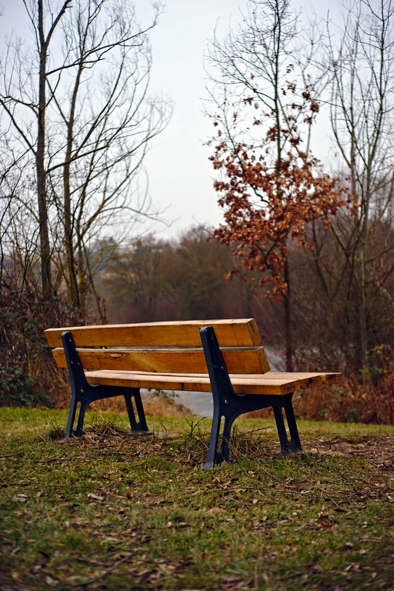 Name:  DSC04070darktable2_2_3.jpg
Hits: 345
Gre:  251,4 KB