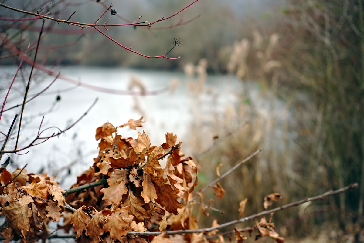 Name:  DSC04066darktable2_2_3.jpg
Hits: 354
Gre:  193,3 KB