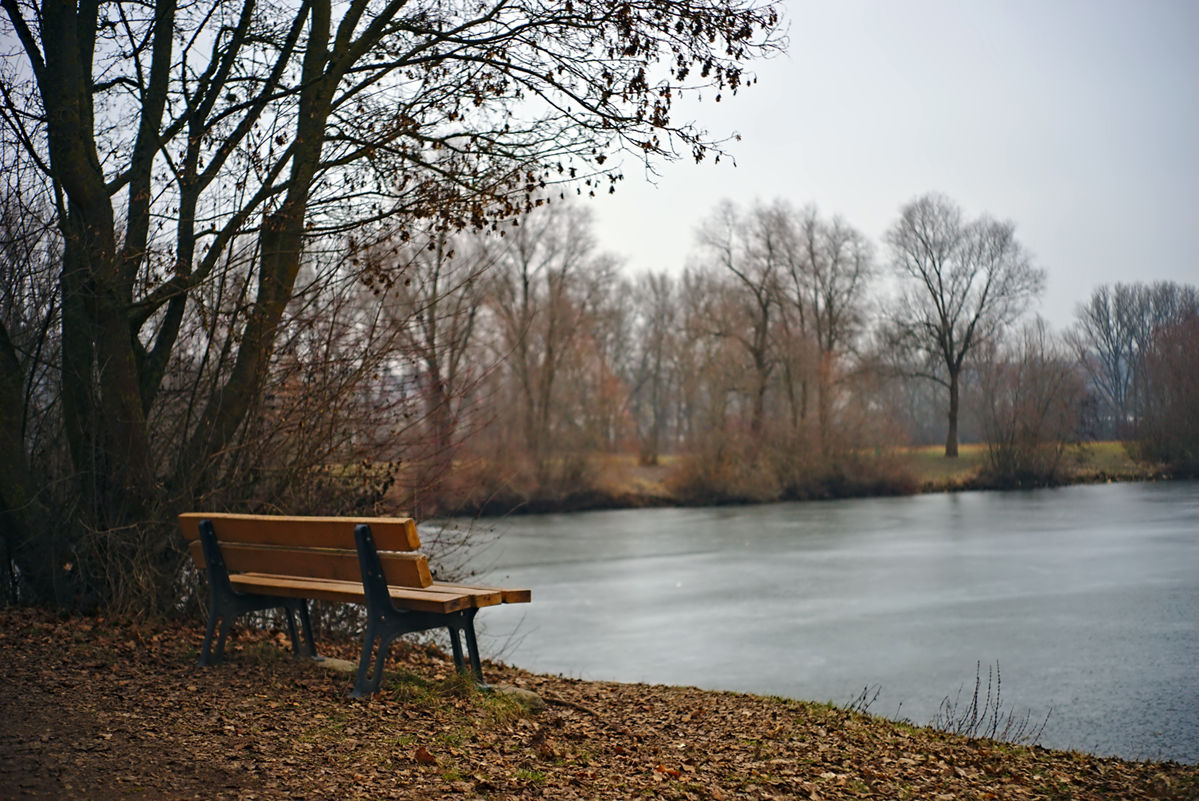 Name:  DSC04064darktable2_2_3gimp.jpg
Hits: 336
Gre:  273,3 KB