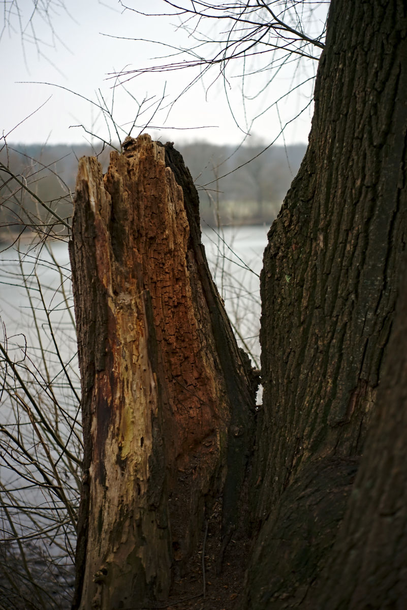 Name:  DSC04055darktable2_2_3.jpg
Hits: 341
Gre:  234,9 KB