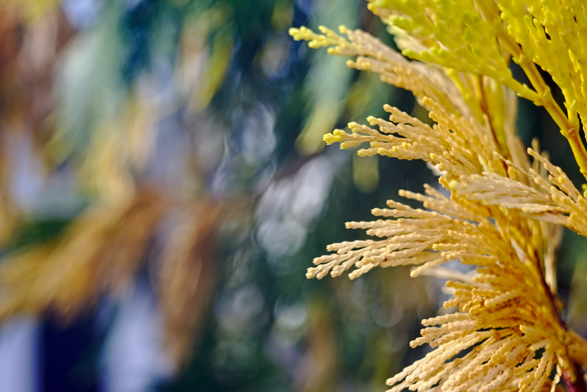 Name:  DSC00485darktable2_2_3.jpg
Hits: 450
Gre:  251,7 KB