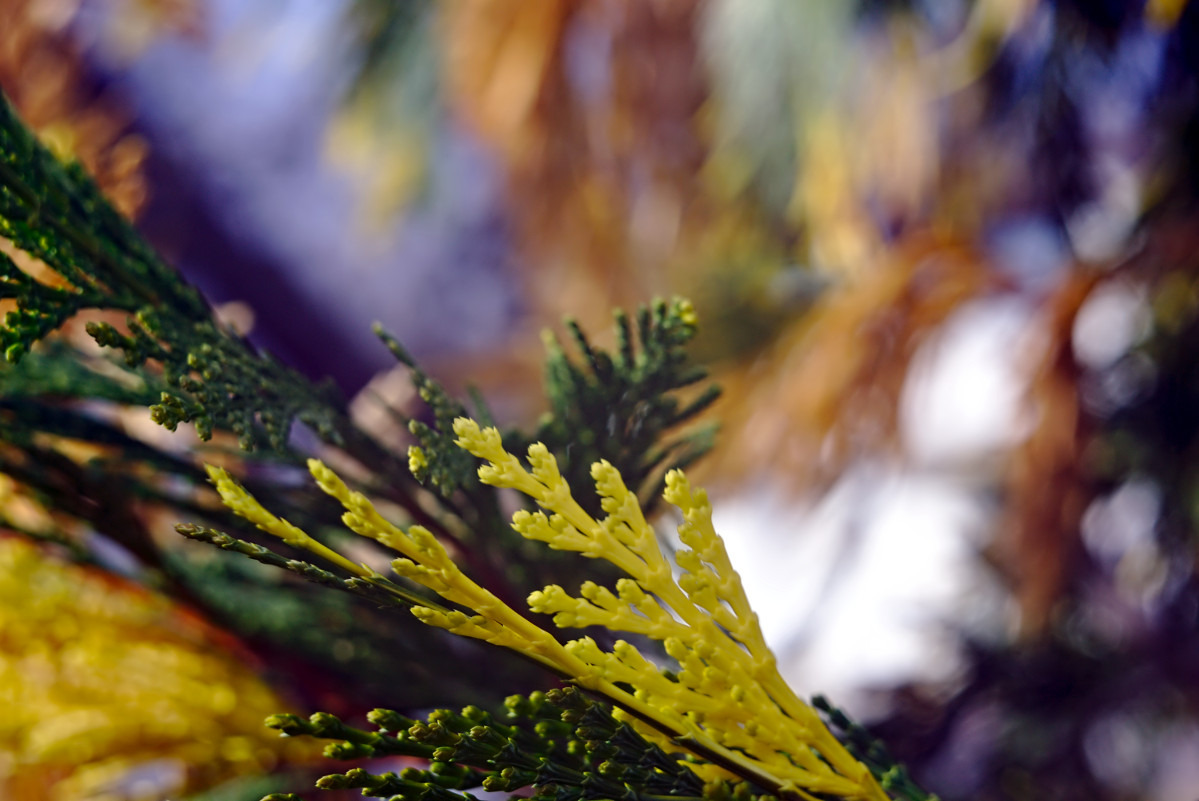 Name:  DSC00490darktable2_2_3.jpg
Hits: 430
Gre:  230,6 KB