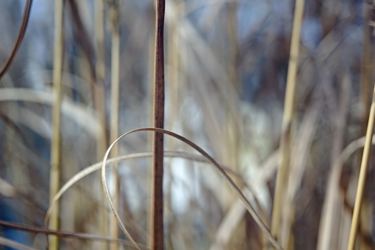 Name:  DSC00503darktable2_2_3.jpg
Hits: 453
Gre:  181,0 KB