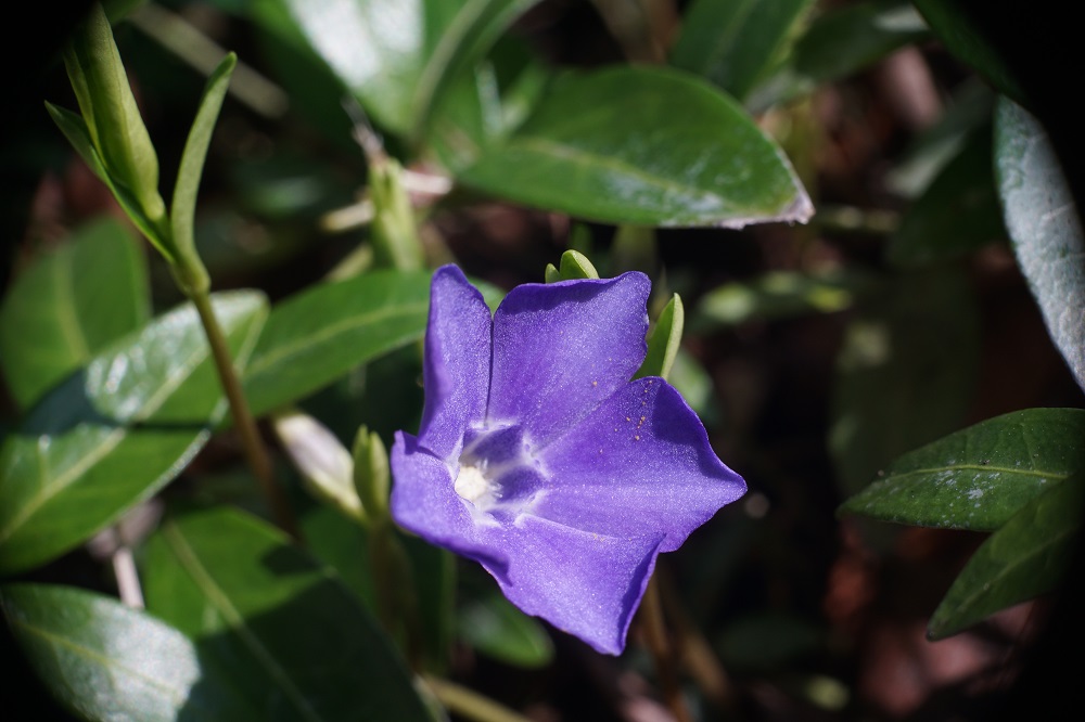 Name:  DSC09756,1.JPG
Hits: 1672
Gre:  178,1 KB