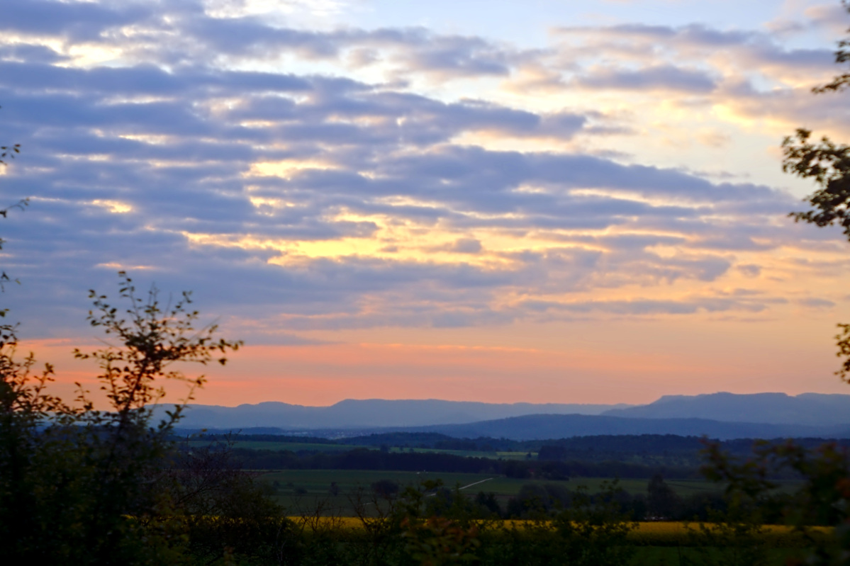 Name:  DSC03789darktable2_2_4gimp.jpg
Hits: 680
Gre:  281,5 KB