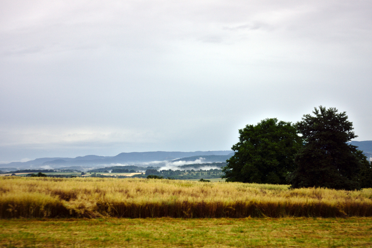 Name:  DSC04011darktable2_2_5.jpg
Hits: 782
Gre:  254,8 KB
