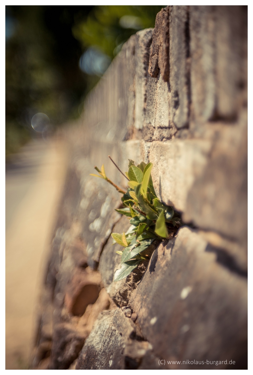Name:  299kb_Am Staden Fujinar+Fujinon 135mm, Fuji 55mm 2.2 046.jpg
Hits: 562
Gre:  277,3 KB