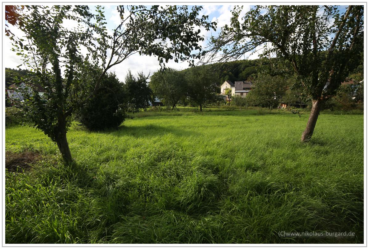 Name:  298kb_Samyang 14mm Canon 6D 006.jpg
Hits: 397
Gre:  297,8 KB