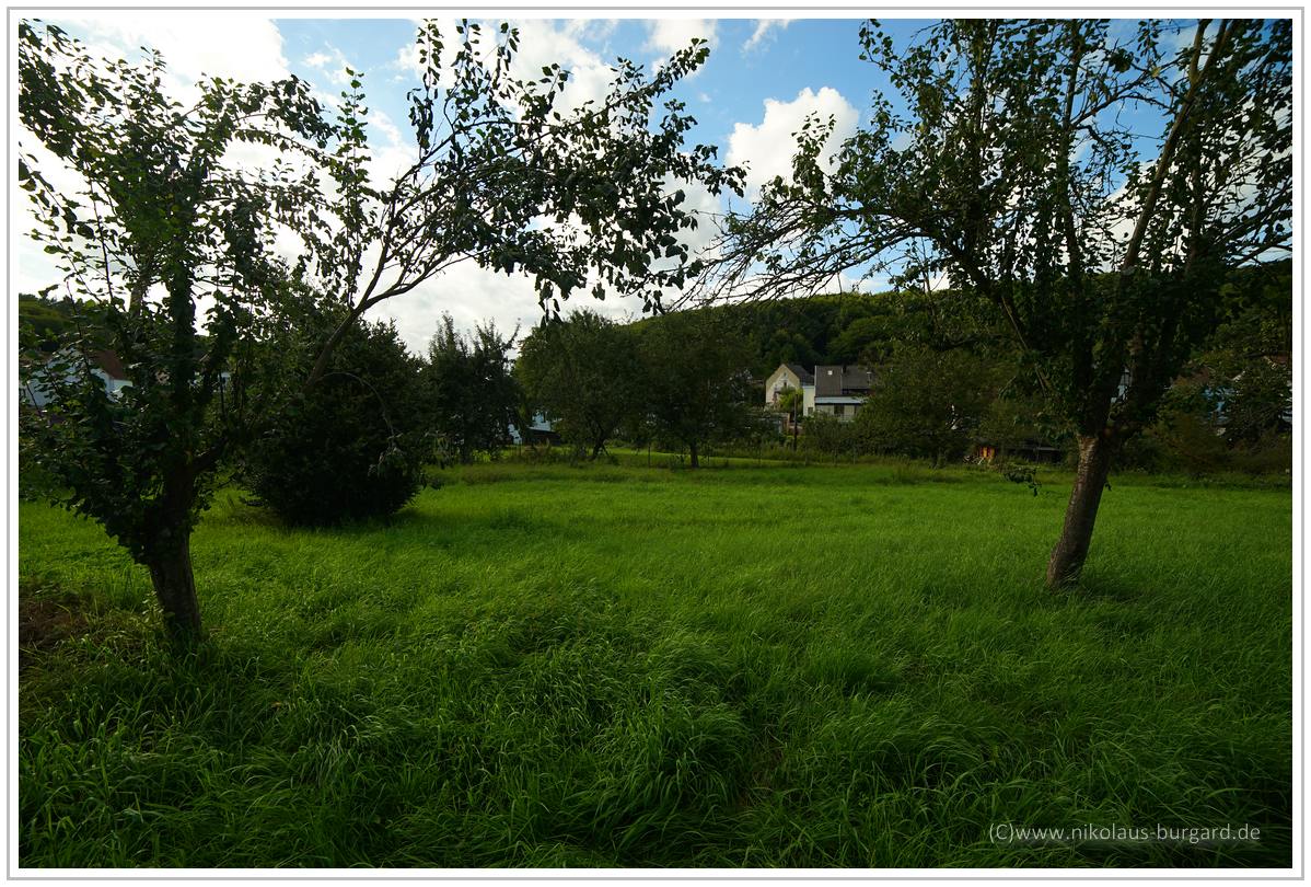 Name:  298kb_Test Samyang 14 Helicoid Sony 010.jpg
Hits: 432
Gre:  292,7 KB
