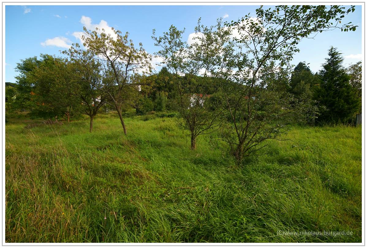 Name:  298kb_Test Samyang 14 Helicoid Sony 011.jpg
Hits: 417
Gre:  294,8 KB