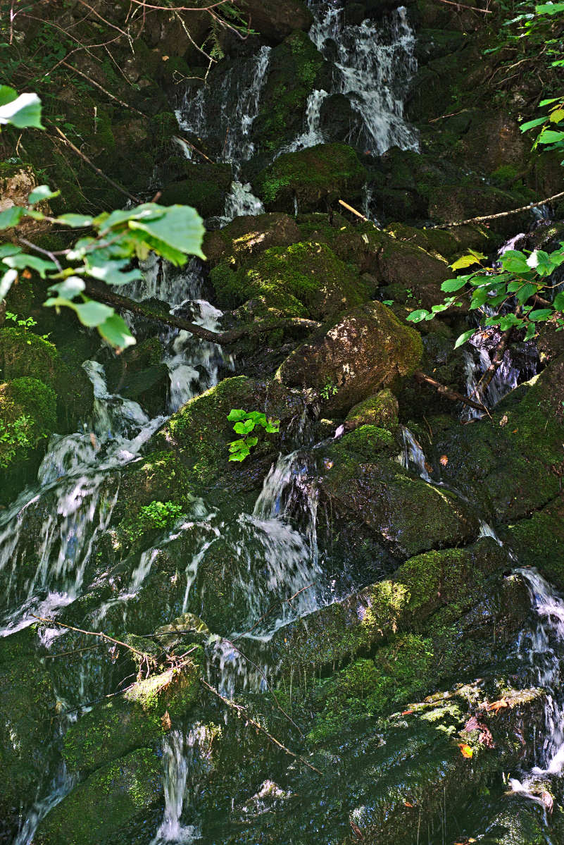 Name:  DSC04119darktable2_2_5.jpg
Hits: 651
Gre:  272,9 KB