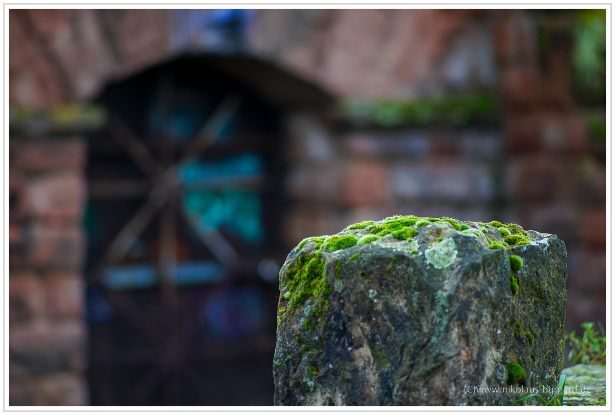 Name:  300kb_Olympus Zuiko 135mm f2.8 SLS 015.jpg
Hits: 565
Gre:  292,4 KB