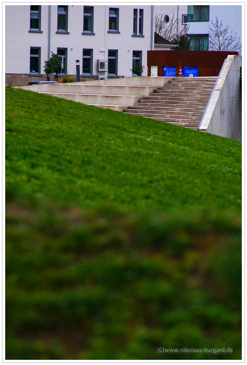 Name:  300kb_Olympus Zuiko 135mm f2.8 SLS 029.jpg
Hits: 569
Gre:  273,6 KB