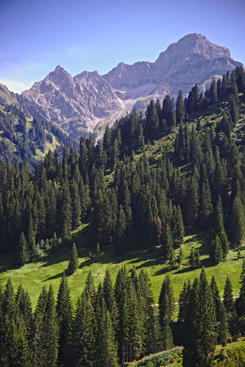 Name:  DSC08083darktable2_2_5.jpg
Hits: 458
Gre:  274,4 KB