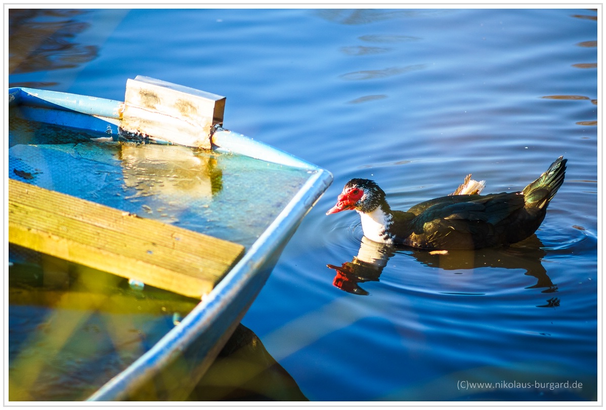 Name:  300kb_DFG  - Olympus Zuiko 50mm f1.4 + 135mm f2.8 025.jpg
Hits: 477
Gre:  282,0 KB