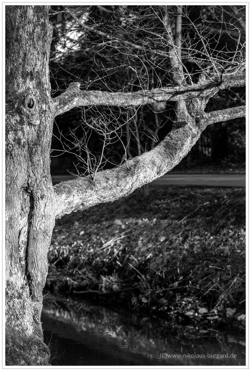Name:  300kb_Geb.feier Anna Jupiter 3+ GKA Konica 40, 80-200L 096.jpg
Hits: 540
Gre:  296,5 KB