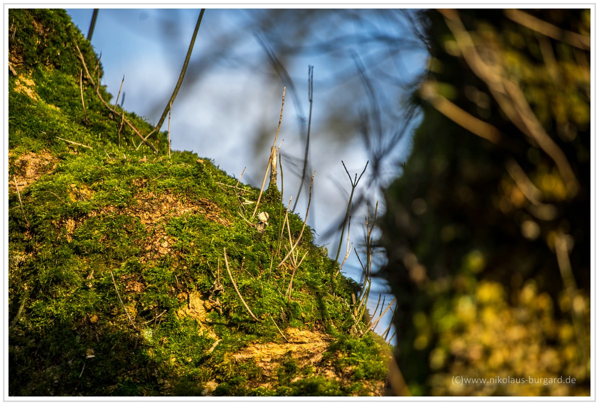 Name:  300kb_Geb.feier Anna Jupiter 3+ GKA Konica 40, 80-200L 084.jpg
Hits: 514
Gre:  293,5 KB