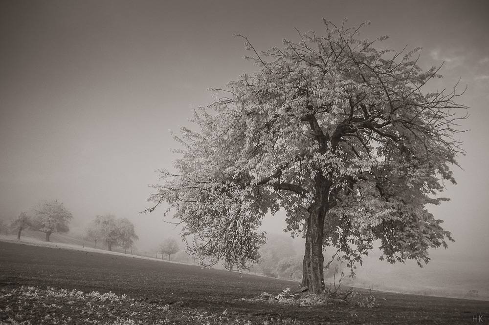 Name:  zuiko38-4.jpg
Hits: 636
Gre:  258,9 KB