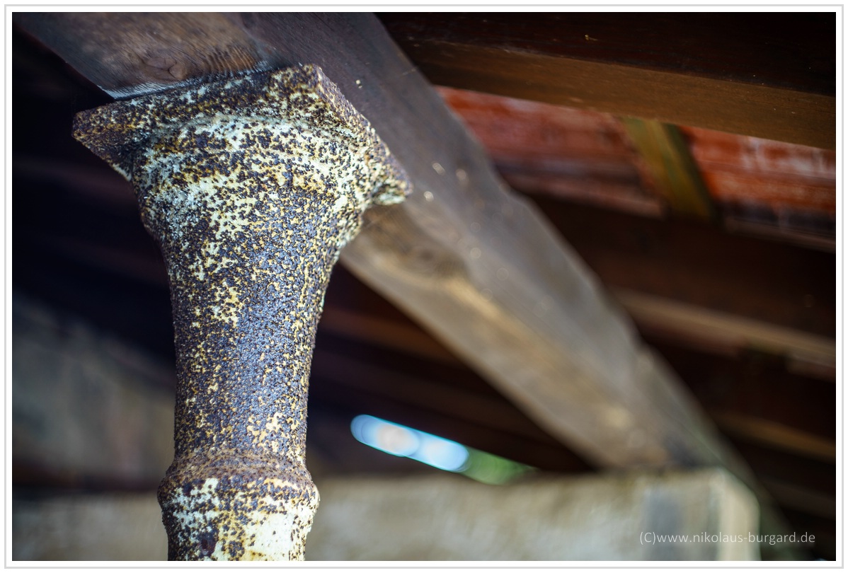 Name:  300kb_CZJ Pancolar 50mm f1.8 025.jpg
Hits: 373
Gre:  291,5 KB