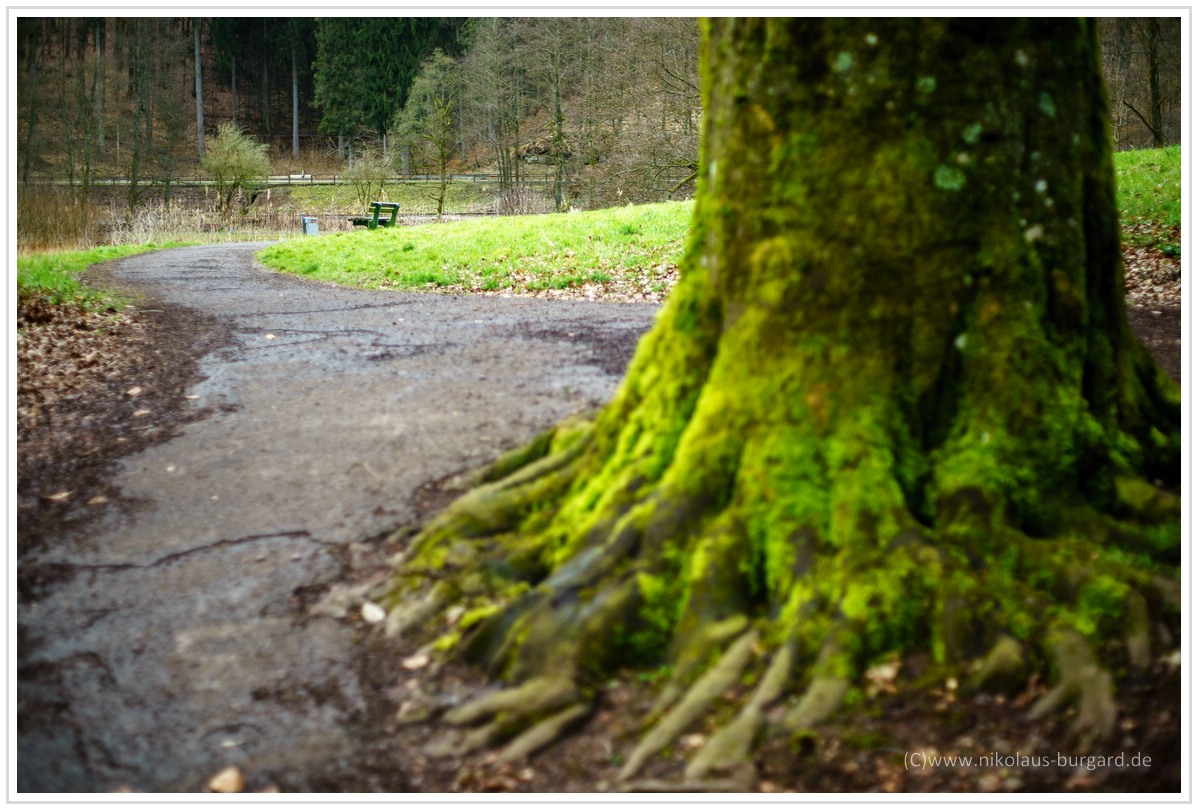 Name:  300kb_Pentax vs Olympus 50mm f1.8 und 100mm f2.8 041.jpg
Hits: 619
Gre:  295,3 KB