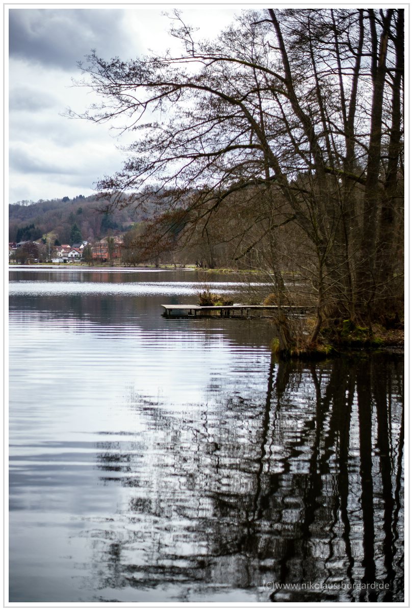 Name:  300kb_Pentax vs Olympus 50mm f1.8 und 100mm f2.8 040.jpg
Hits: 626
Gre:  298,9 KB