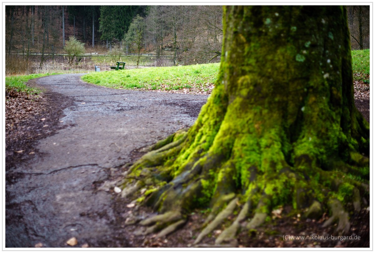 Name:  300kb_Pentax vs Olympus 50mm f1.8 und 100mm f2.8 042.jpg
Hits: 660
Gre:  291,2 KB