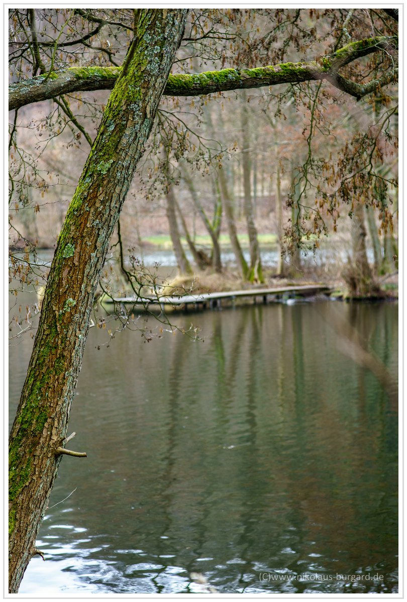 Name:  300kb_Pentax vs Olympus 50mm f1.8 und 100mm f2.8 025.jpg
Hits: 1244
Gre:  296,2 KB