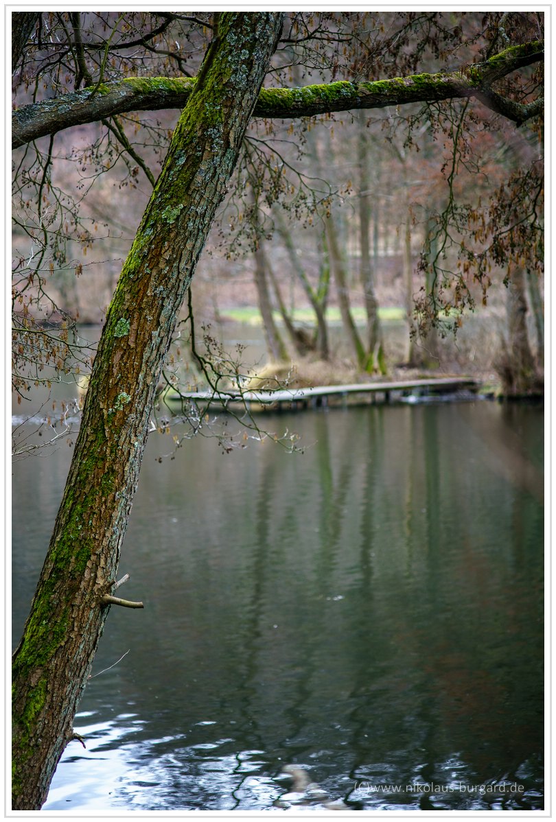 Name:  300kb_Pentax vs Olympus 50mm f1.8 und 100mm f2.8 027.jpg
Hits: 1204
Gre:  289,9 KB