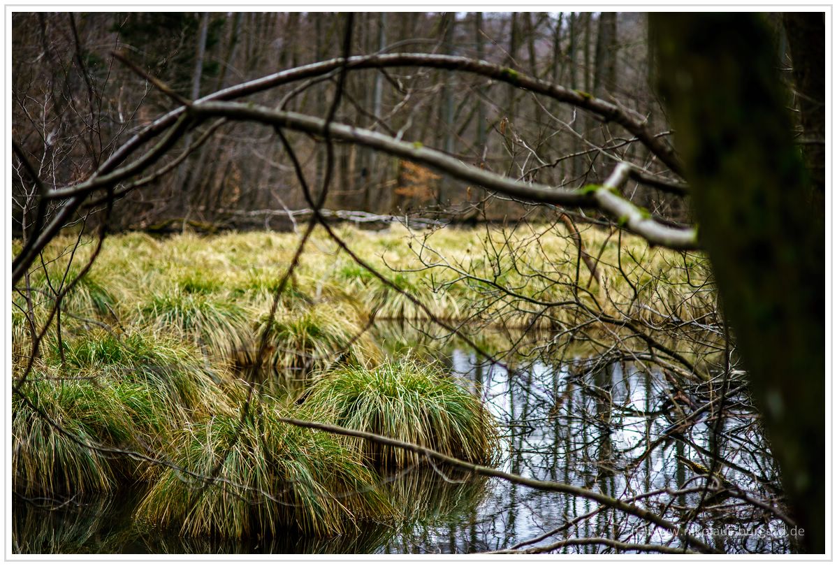 Name:  300kb_Pentax vs Olympus 50mm f1.8 und 100mm f2.8 016.jpg
Hits: 1261
Gre:  298,6 KB