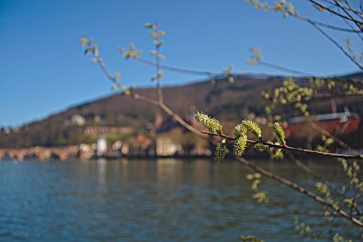 Name:  DSC04694darktable2_4_2.jpg
Hits: 461
Gre:  245,1 KB