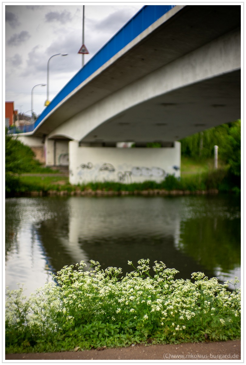 Name:  300kb_Olympus 135-2.8 + Samyang 135-2 + 7Artisans 50-1-1 003.jpg
Hits: 1166
Gre:  286,2 KB