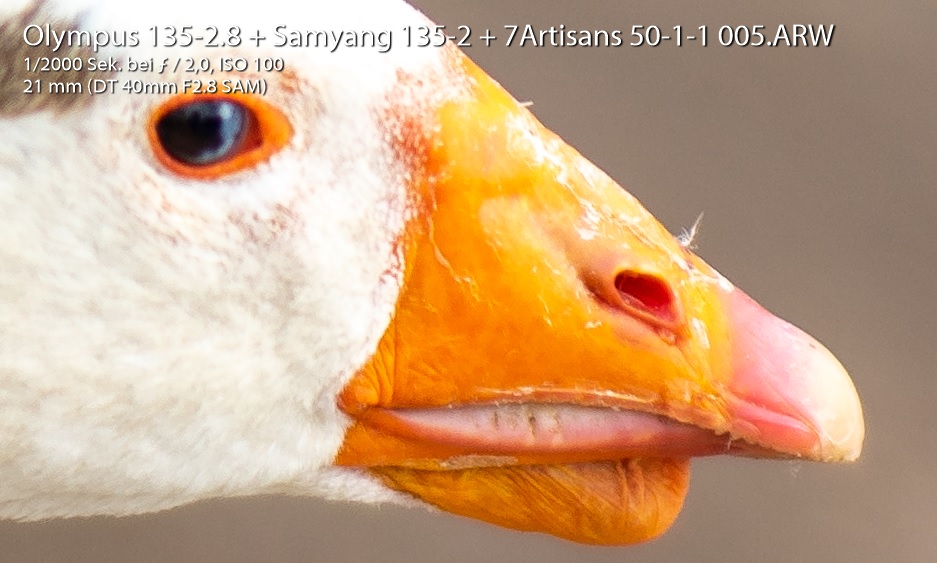 Name:  7 Artisans 1.4.jpg
Hits: 1133
Gre:  140,0 KB