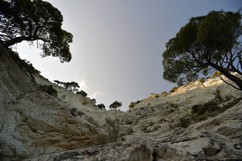 Name:  DSC_5067.JPG
Hits: 359
Gre:  279,5 KB