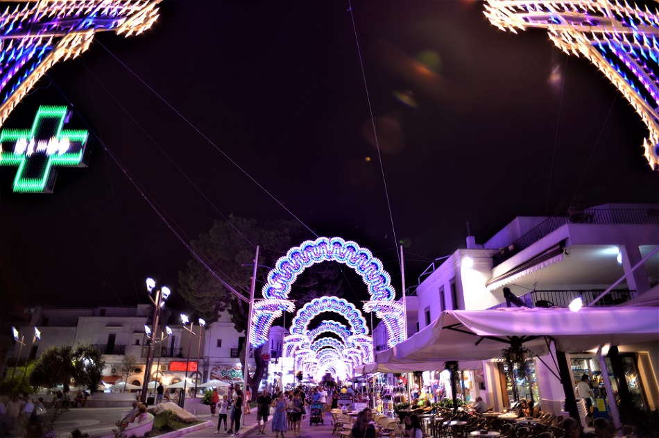 Name:  DSC_5663.JPG
Hits: 364
Gre:  284,4 KB