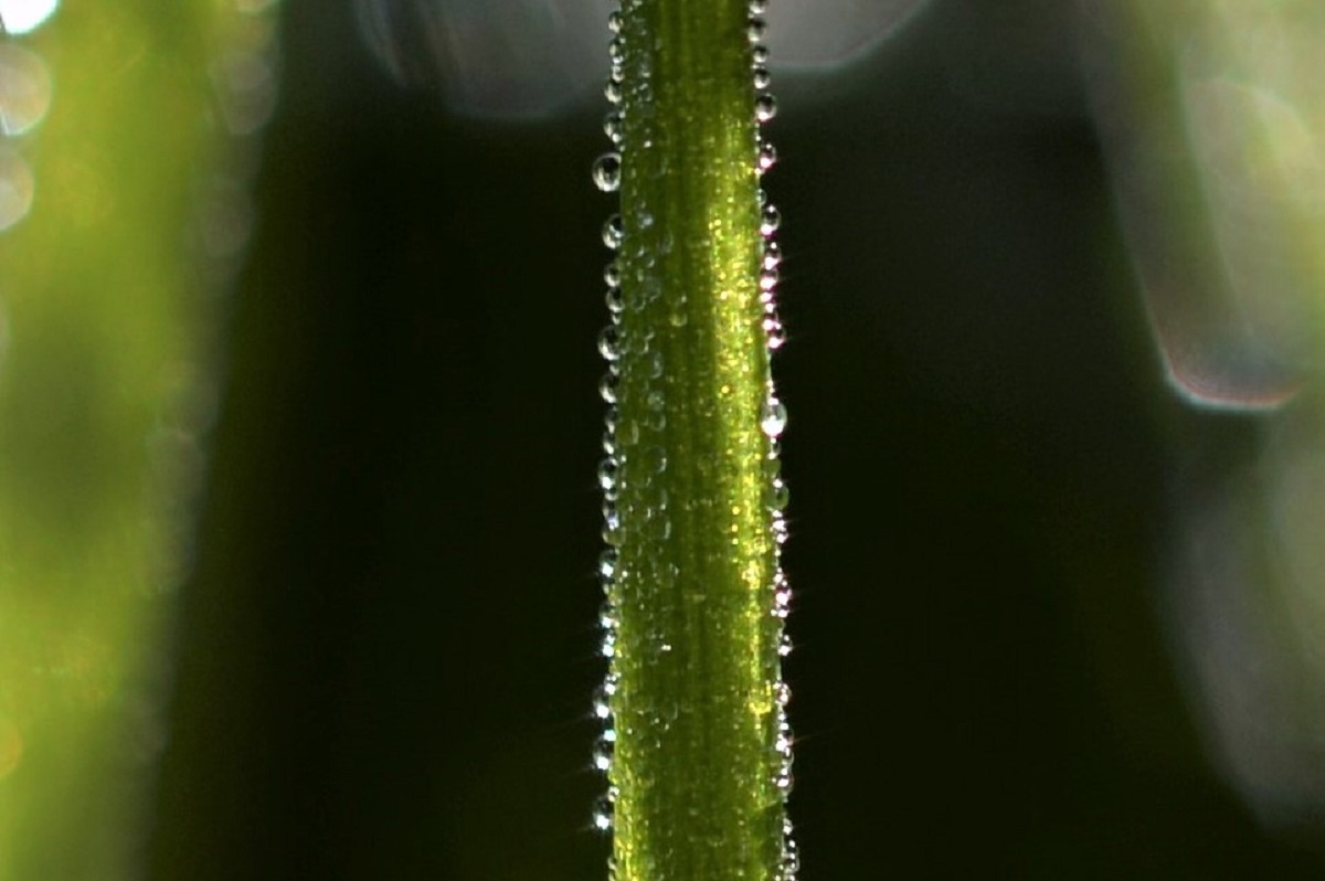 Name:  DSC_7961 (2).JPG
Hits: 668
Gre:  195,1 KB