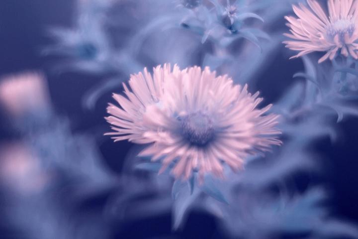 Name:  K640_PA060221_sh.JPG
Hits: 303
Gre:  45,2 KB