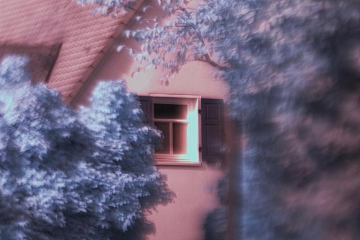 Name:  K640_PA060235_A_sh.JPG
Hits: 286
Gre:  60,7 KB