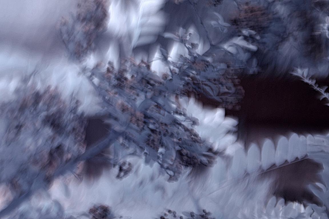 Name:  K1024_PA060237A_sh.JPG
Hits: 280
Gre:  105,4 KB