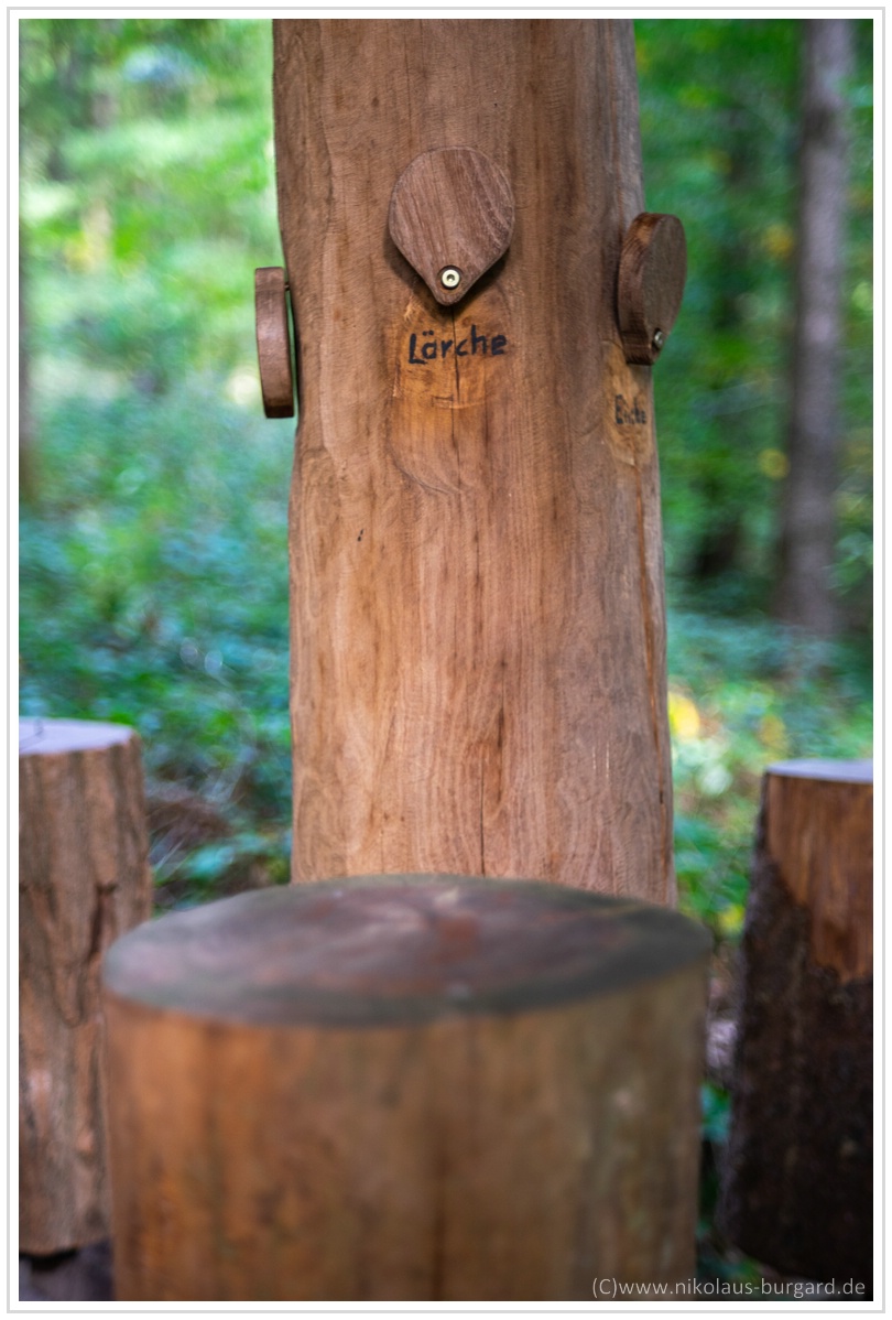 Name:  300kb_Walderlebnispfad - Fujinon 55mm f2.2, Porst 35-70 + 75-200 020.jpg
Hits: 407
Gre:  277,8 KB