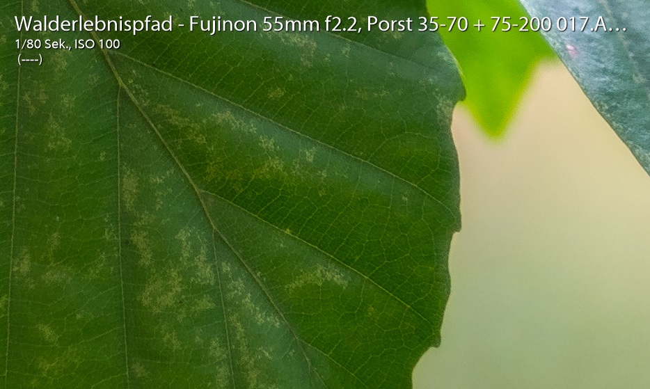 Name:  Crop 17.jpg
Hits: 446
Gre:  167,8 KB