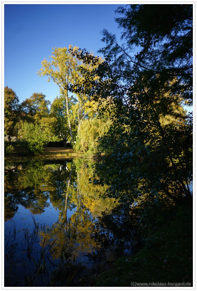 Name:  300kb_Vergleich Olympus OM 28mm f2 vs. Sony FE 28mm f2 005-2.jpg
Hits: 1018
Gre:  298,3 KB