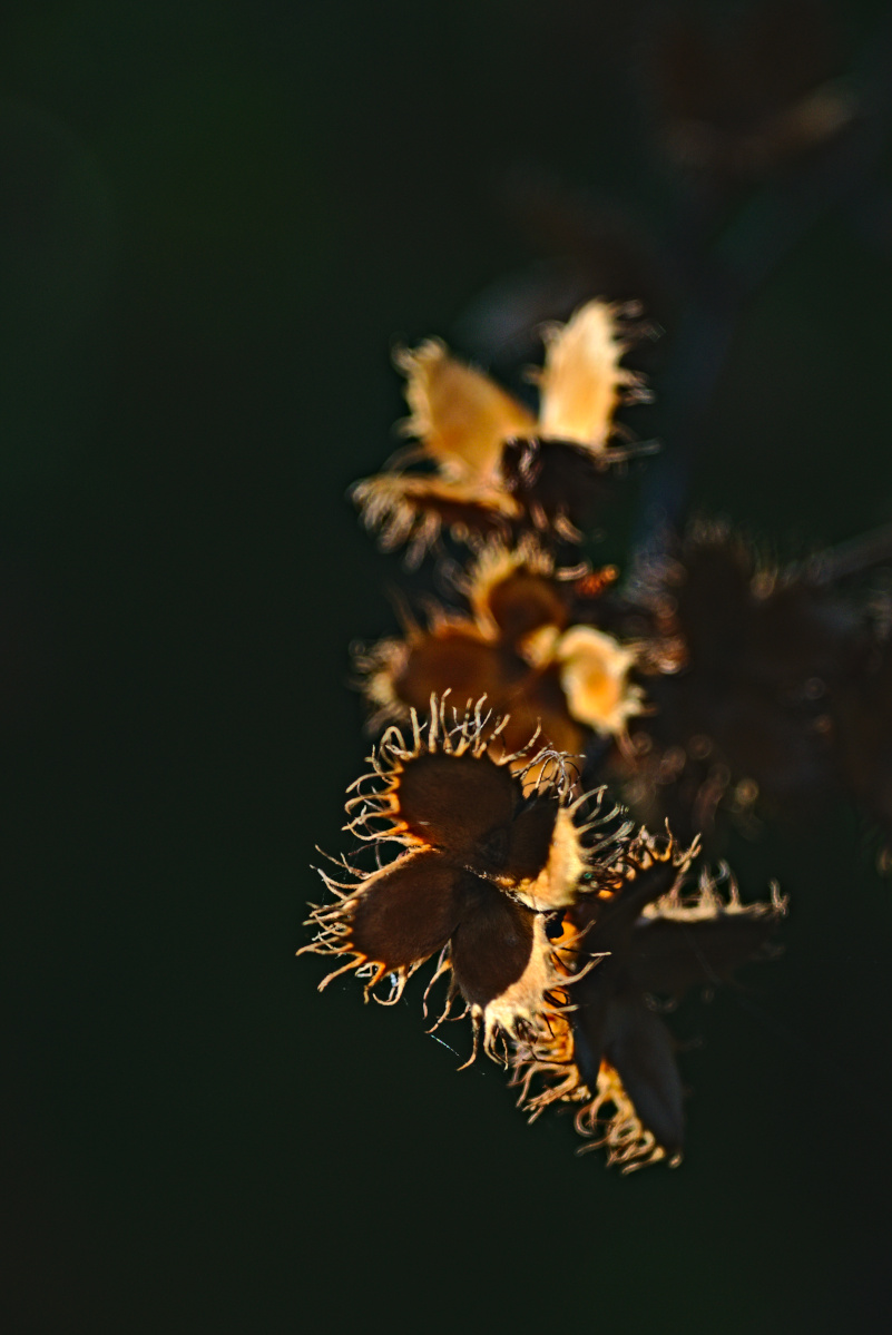 Name:  DSC06080darktable2_4_4.jpg
Hits: 361
Gre:  219,7 KB