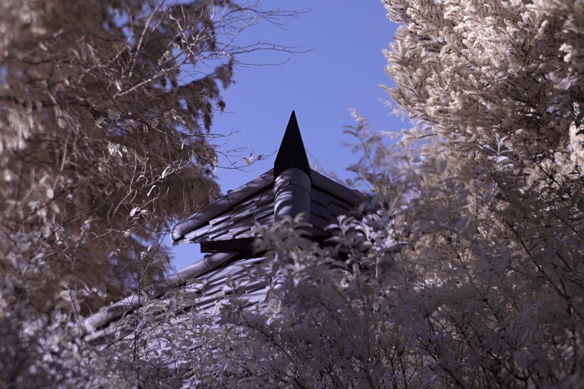 Name:  K1024_PA210360A_KT_sh.JPG
Hits: 409
Gre:  174,0 KB