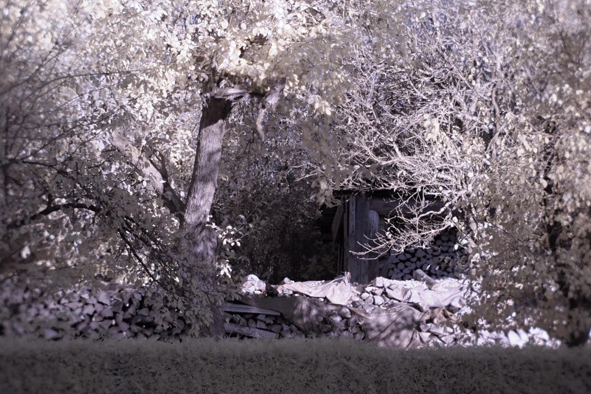 Name:  K1024_PA210367A_KT_sh.JPG
Hits: 439
Gre:  230,1 KB