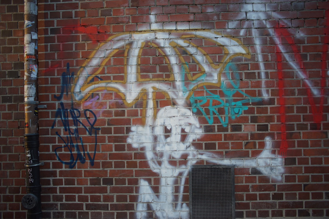 Name:  DSC00267.JPG
Hits: 538
Gre:  284,6 KB