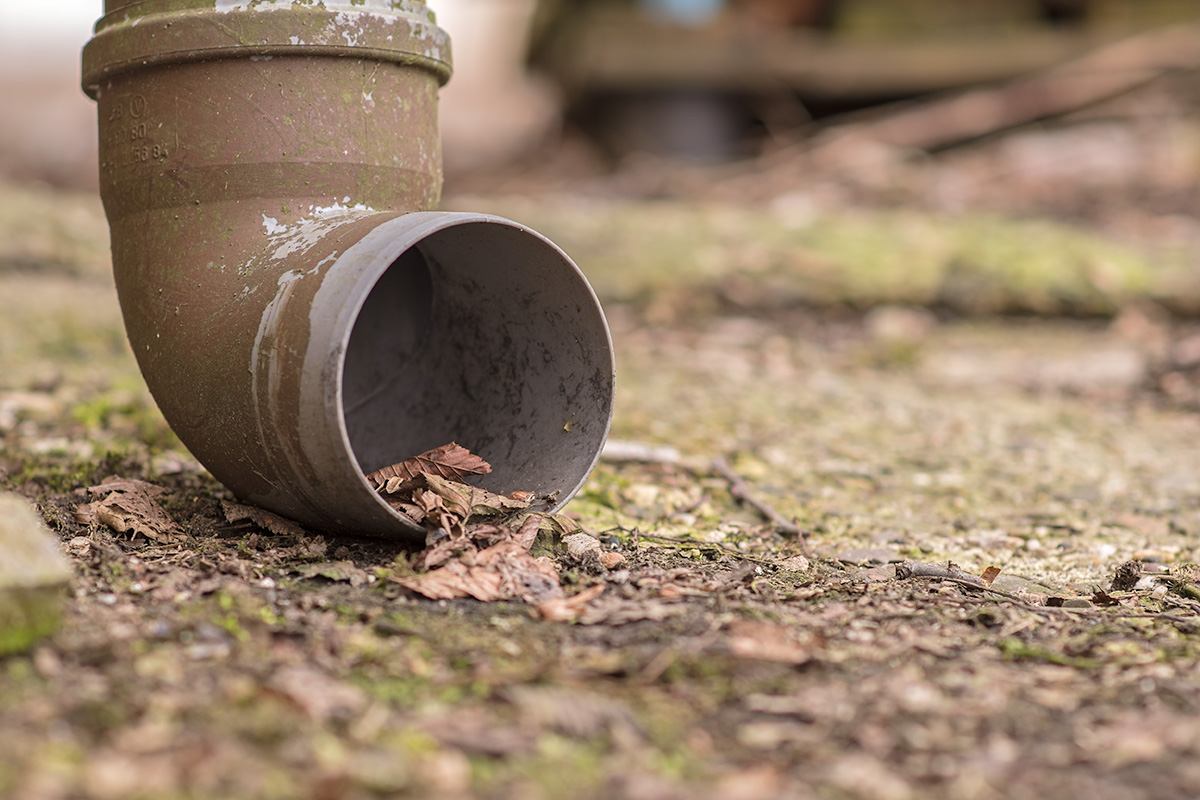 Name:  drain.jpg
Hits: 108
Gre:  278,6 KB