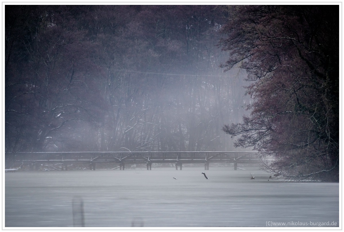 Name:  300kb_Tamron SP500mm + Zeiss Sonnar 90mm 071.jpg
Hits: 597
Gre:  276,1 KB