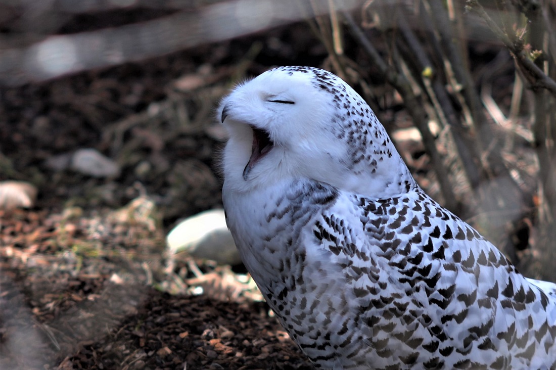 Name:  DSC_0963 (2).JPG
Hits: 467
Gre:  297,6 KB