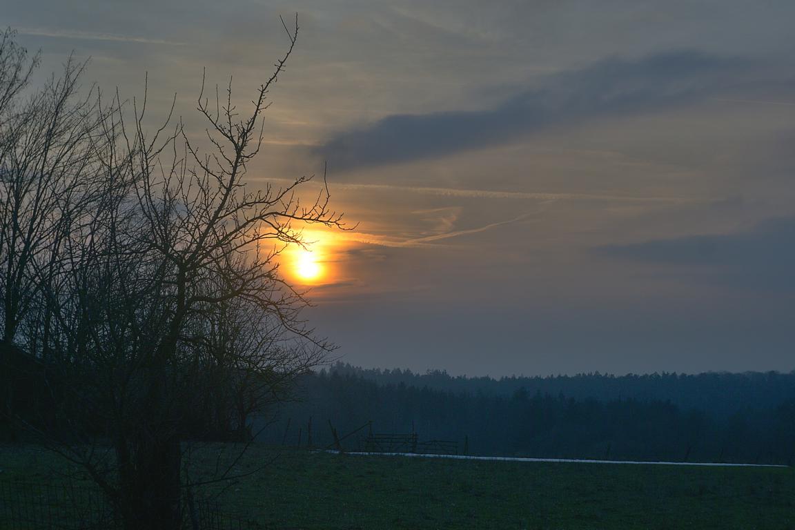 Name:  K1024_DSC01777 (1)A.JPG
Hits: 554
Gre:  82,7 KB