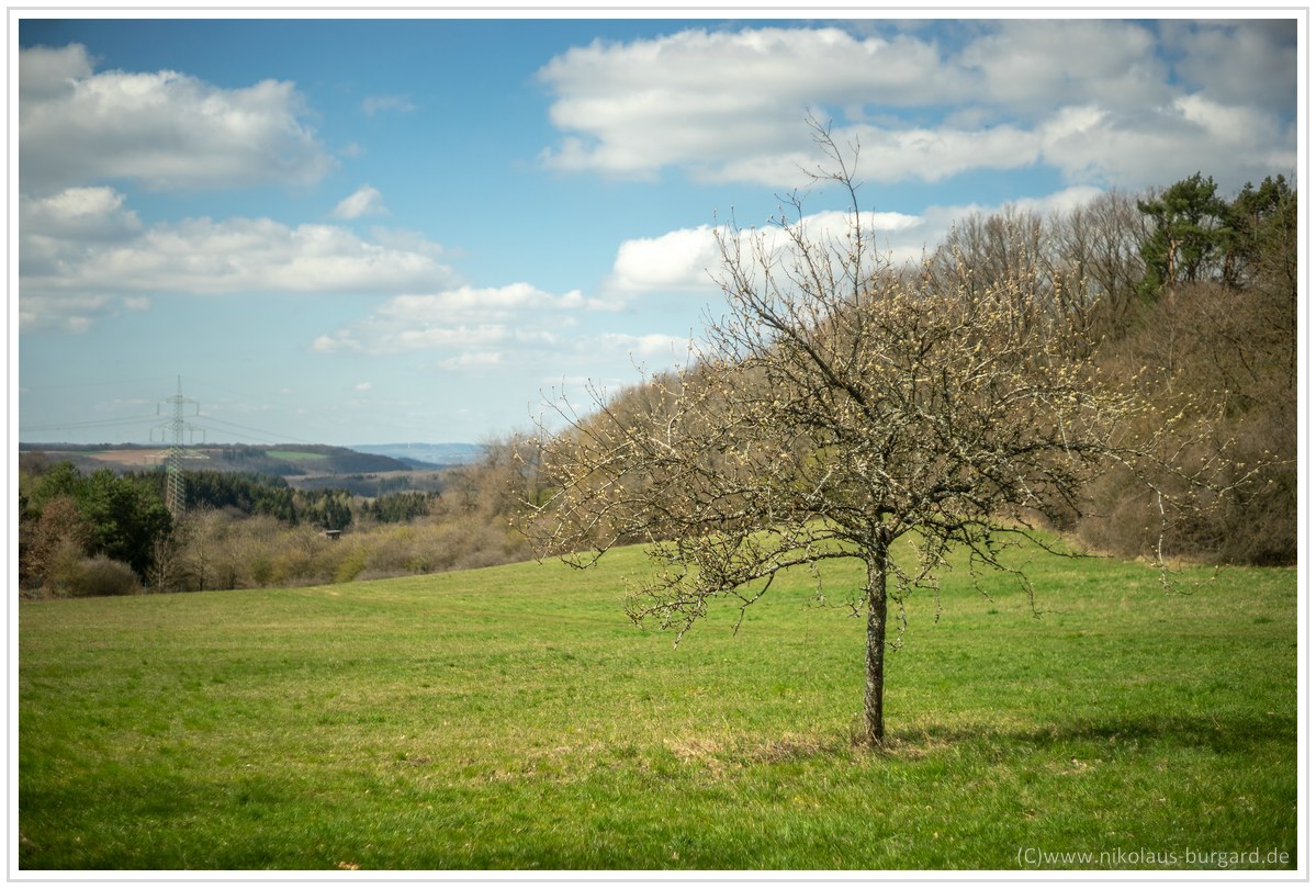 Name:  300kb_Tamron SP300-2.8 + Pancolar Hchsten 156.jpg
Hits: 770
Gre:  295,0 KB